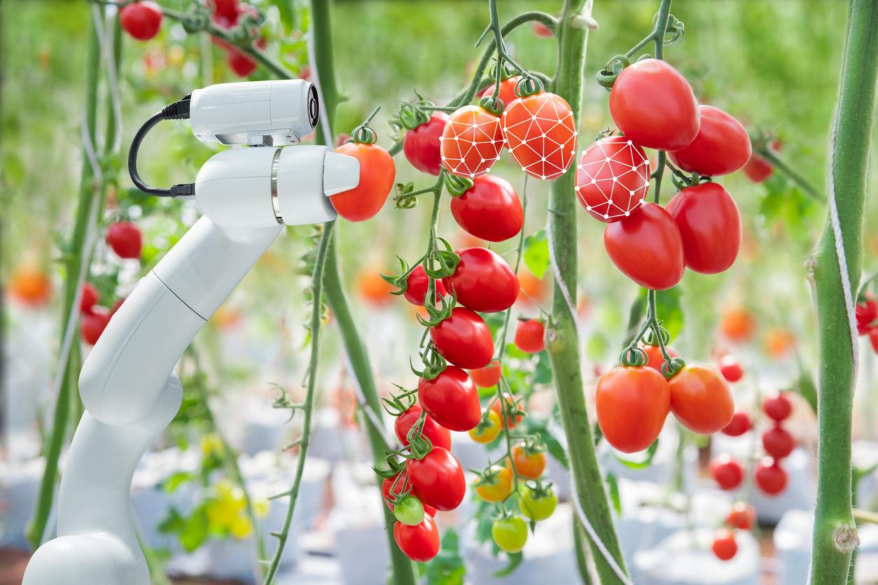 Artificial Intelligence In Food Processing Hub International - Riset