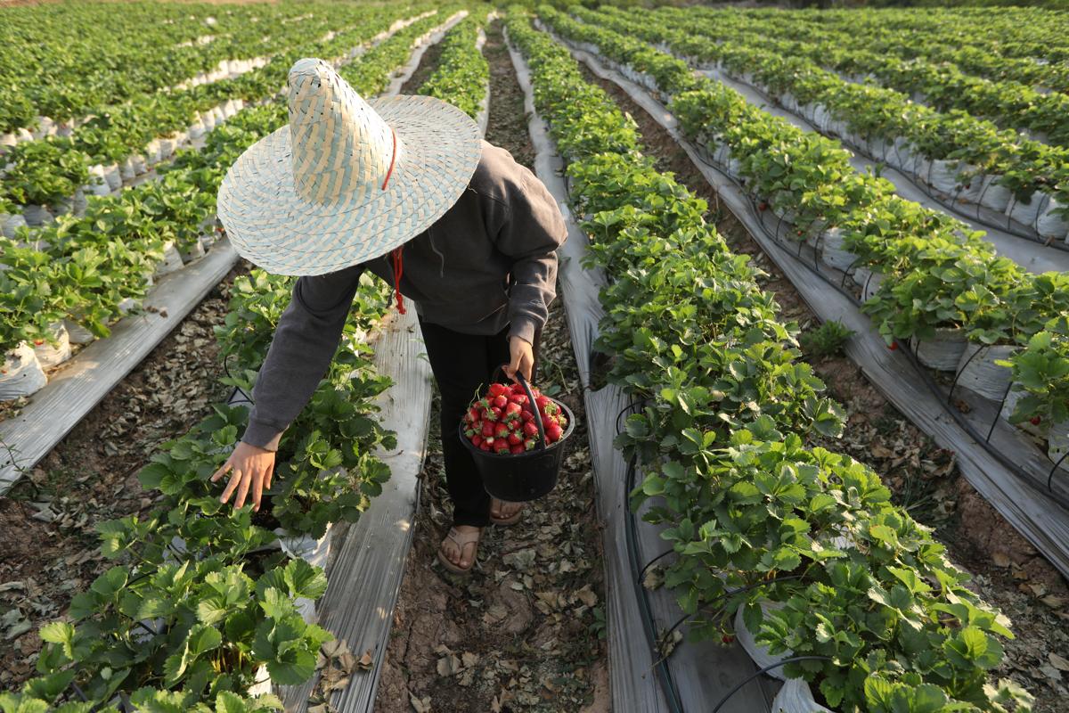 Asia's food sector needs $800 billion investment over 10 years - report ...