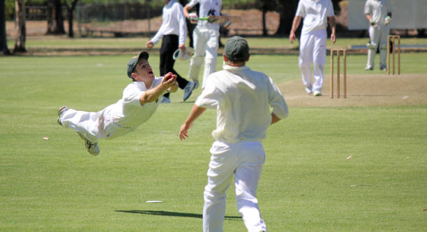 Connecticut group wants to ‘educate’ Americans about cricket, make the game popular