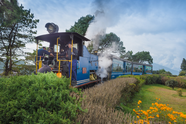 darjeeling