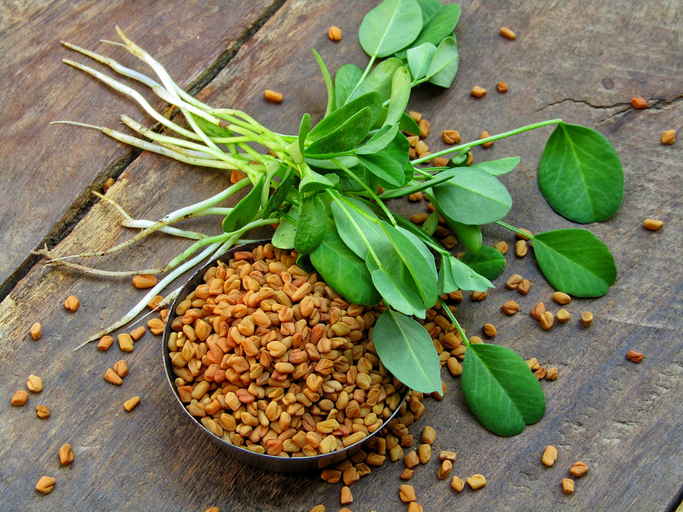 fenugreek spice