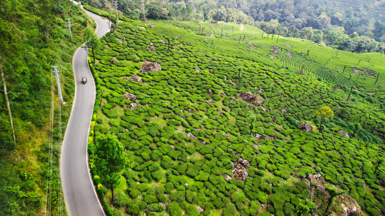 munnar