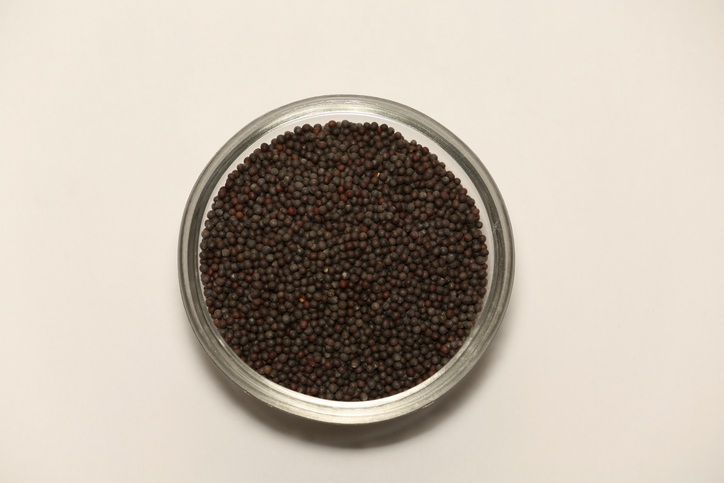 mustard seeds